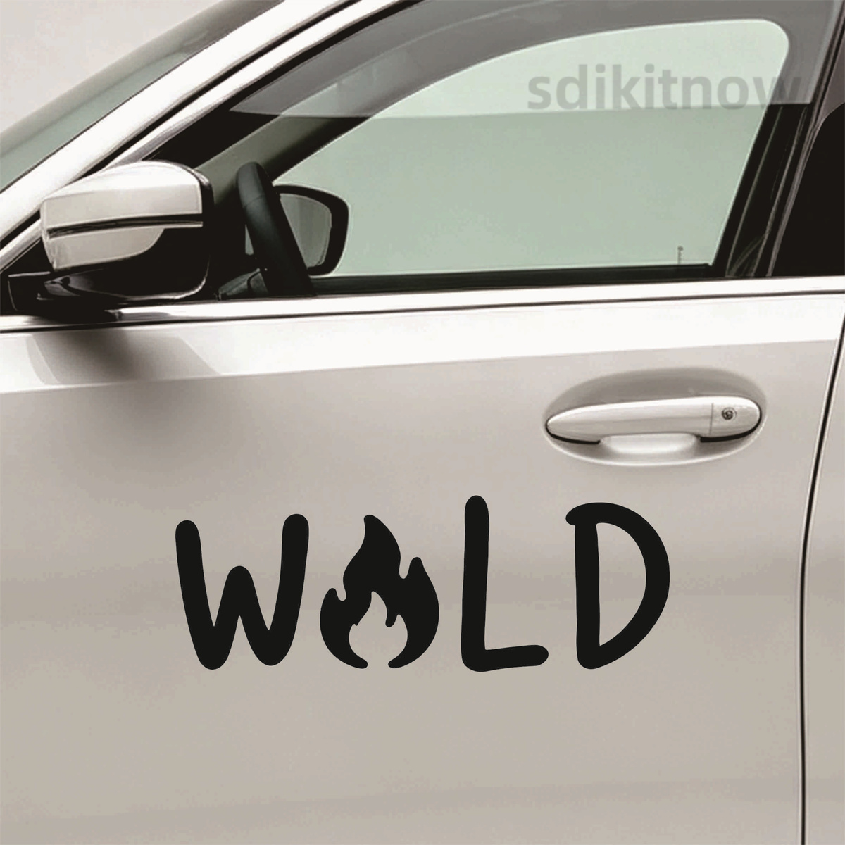 Pegatina de vinilo para coche  - Outdoor Adventure Words reseña y precio