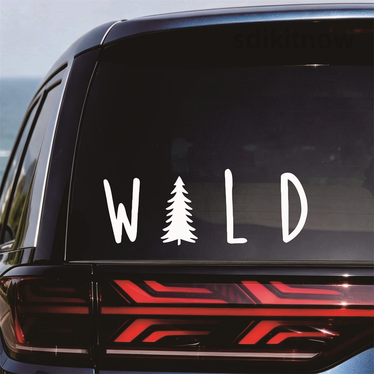 Pegatina de vinilo para coche  - Outdoor Adventure Words reseña y precio